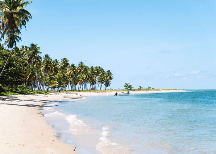 david-emrich-771911-unsplash.jpg david-emrich-771911-unsplash.jpg